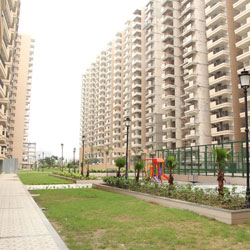 Gaursons India