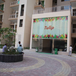 Tulip Lobby