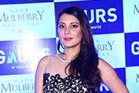 Gaur Mulberry Mansions Launch Party