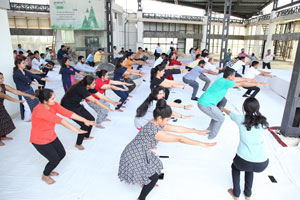 International Yoga Day