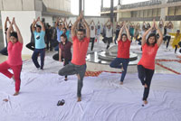 International Yoga Day at Gaur Biz Park